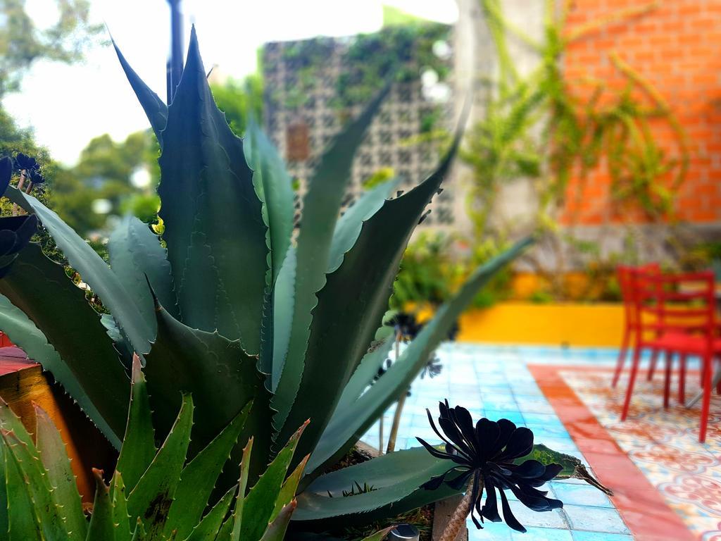 Bed and Breakfast La Querencia Df Мехіко Екстер'єр фото